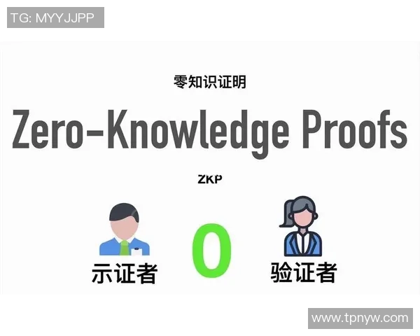 探索沐鸣2零知识证明系统的应用与未来发展趋势