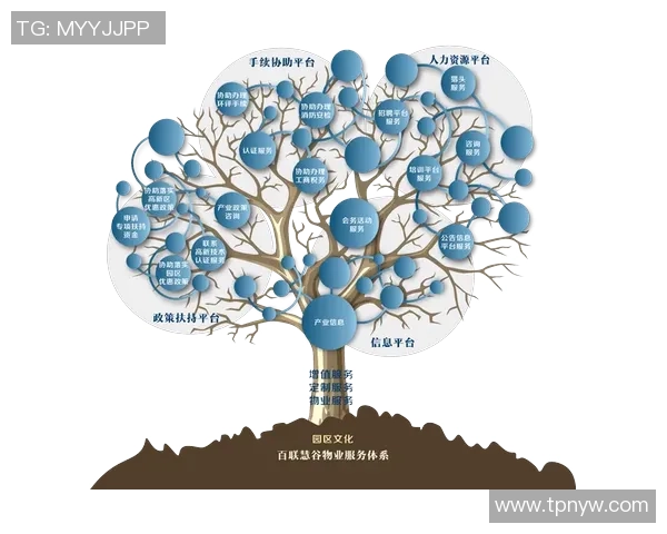 聚焦用户需求探索焦点娱乐JTBD理论在产品定义中的应用与实践